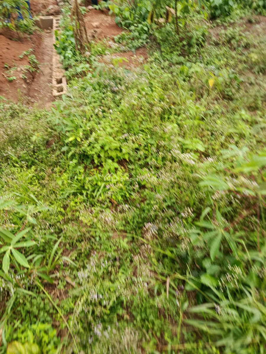 Full Plot of Land ,fenced Round in a Developed Estate, Akinwummi Estate,ijedodo, Ijegun, Ikotun, Lagos, Residential Land for Sale