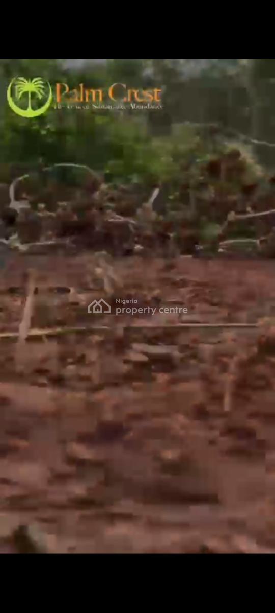 Palm Trees Farm Land Investment, Imeko Afon, Ogun, Commercial Land for Sale