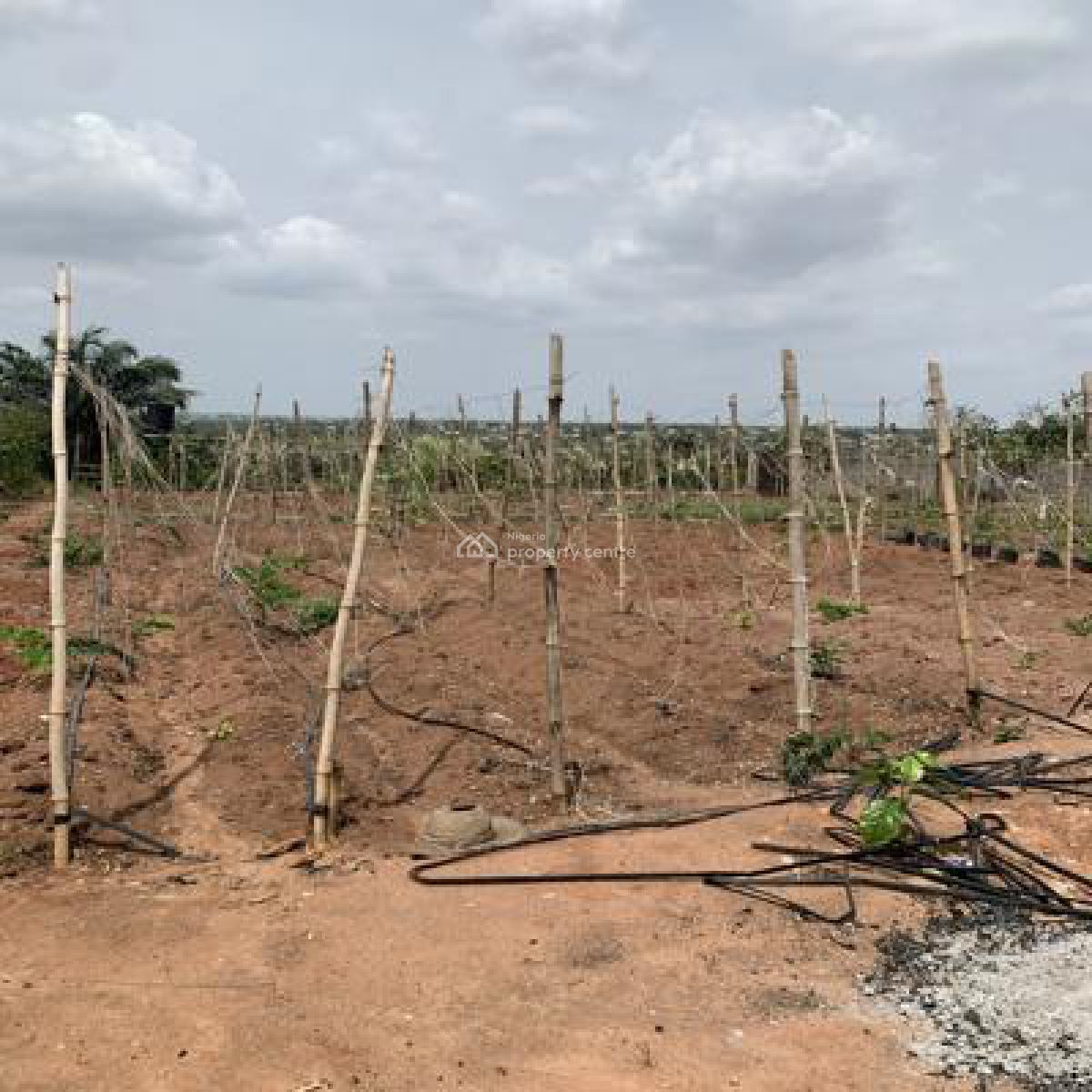 Farmland with Staff Quarters, Onanisa Town, Odugbe Bus Stop, Ado-odo/ota, Ogun, Commercial Land for Sale