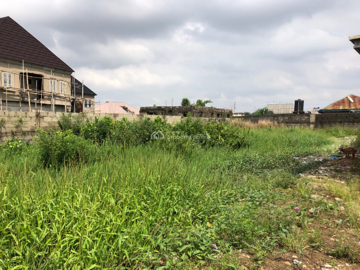 Plots of Land for Lease, Ago Palace, Isolo, Lagos, Commercial Land for Rent