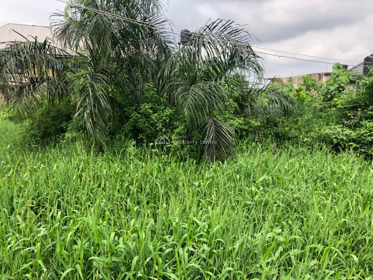 a Half Plot of Land, Ago Last Bustop, Ago Palace, Isolo, Lagos, Commercial Land for Rent