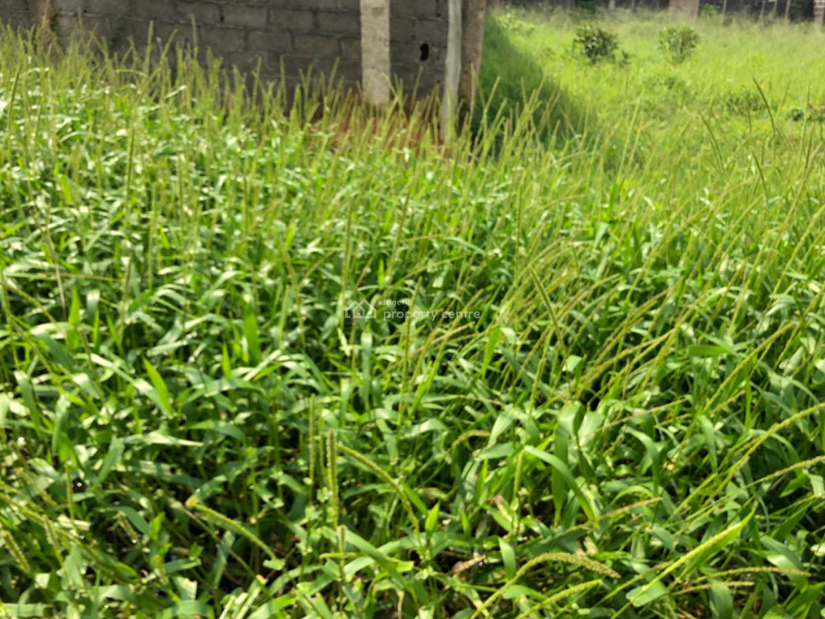 Full Plot of Land Available, Greenfield Estate, Ago Palace, Isolo, Lagos, Residential Land for Sale