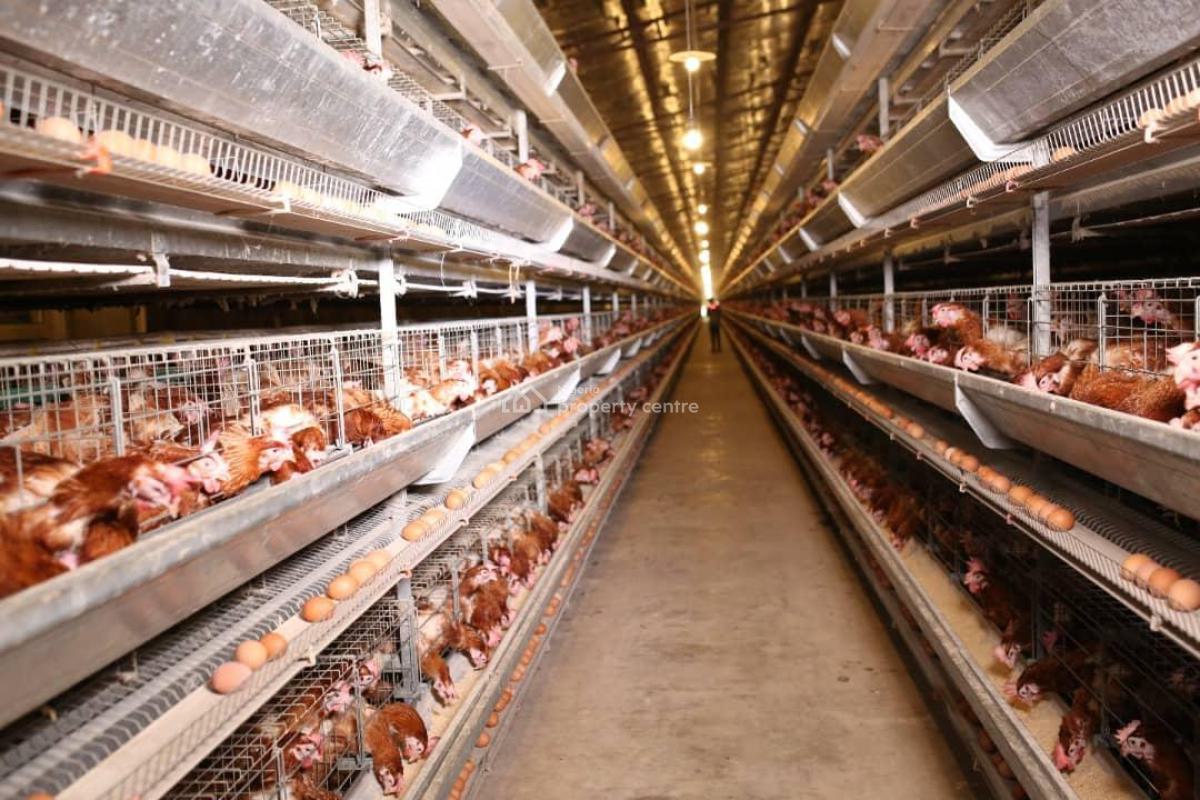 Mega World Class Poultry and Farm Land on 20 Hectares, Ijebu Ode, Ogun, Commercial Property for Sale