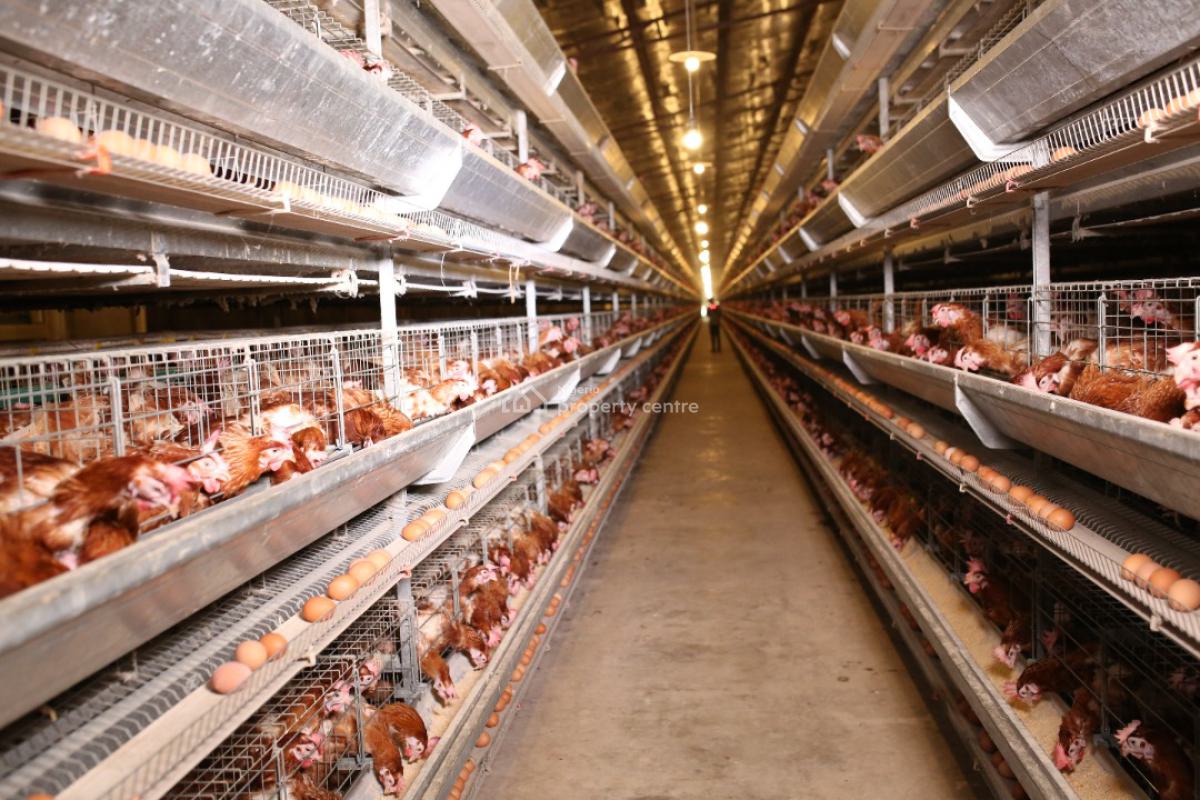Poultry  in Ijebu Ode, Ogun State with Land Size 20 Hectares, Ijebu East, Ogun, Factory for Sale