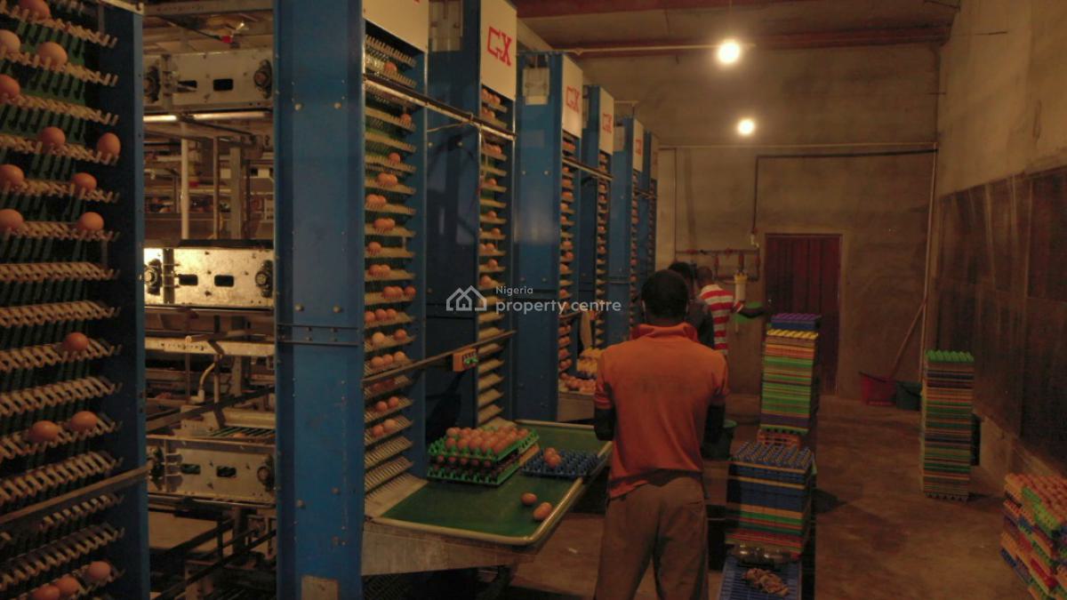 Poultry  in Ijebu Ode, Ogun State with Land Size 20 Hectares, Ijebu East, Ogun, Factory for Sale