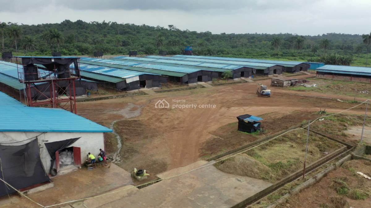 Poultry  in Ijebu Ode, Ogun State with Land Size 20 Hectares, Ijebu East, Ogun, Factory for Sale