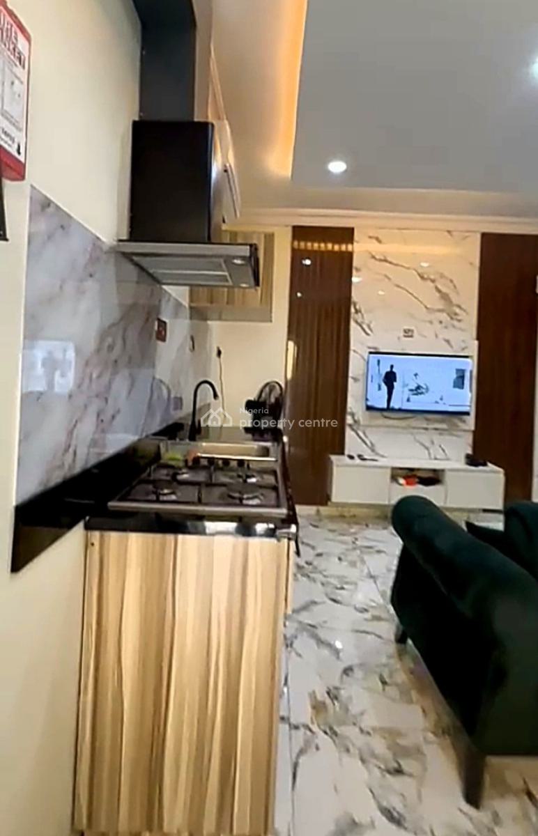 Quality and Fully Furnished Luxury 1 Bedroom Duplex Apartment, Off Bode Thomas, Surulere, Surulere, Lagos, Mini Flat (room and Parlour) Short Let