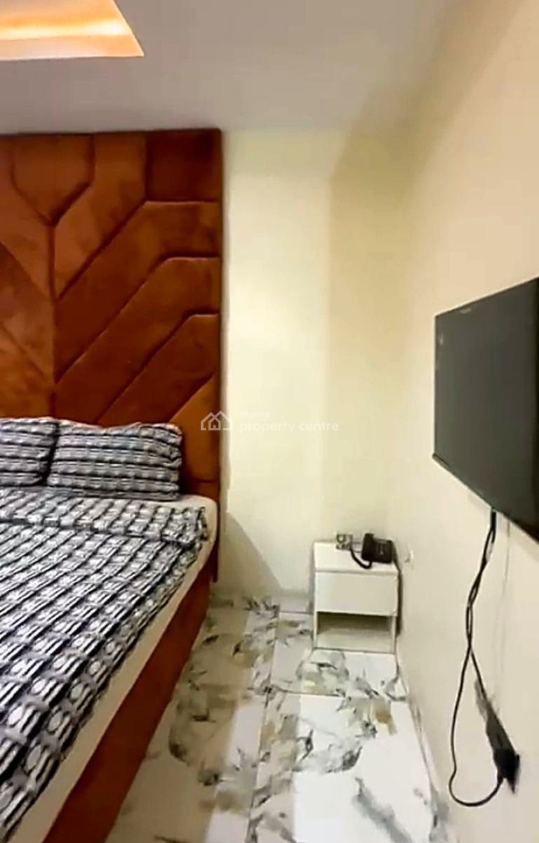Quality and Fully Furnished Luxury 1 Bedroom Duplex Apartment, Off Bode Thomas, Surulere, Surulere, Lagos, Mini Flat (room and Parlour) Short Let