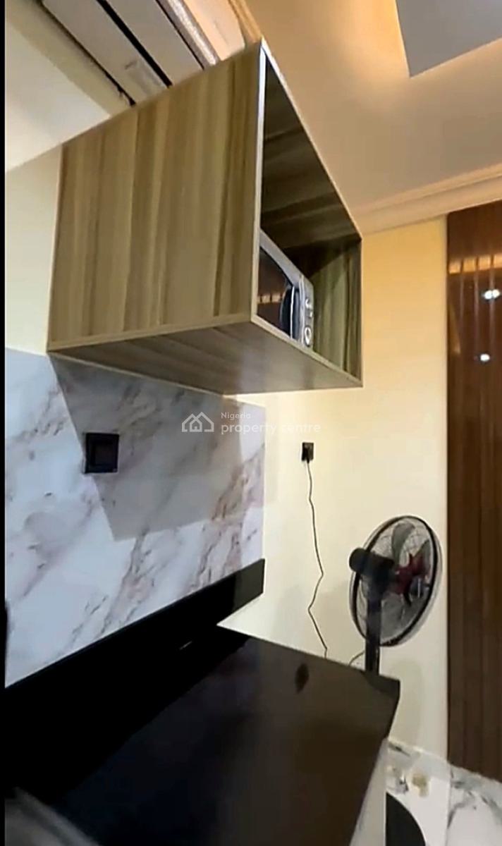Quality and Fully Furnished Luxury 1 Bedroom Duplex Apartment, Off Bode Thomas, Surulere, Surulere, Lagos, Mini Flat (room and Parlour) Short Let