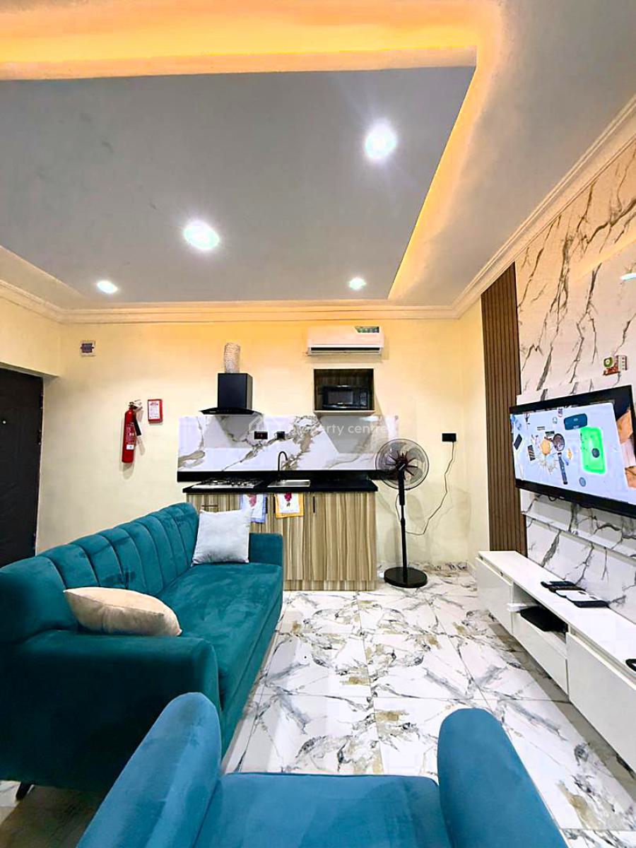 Quality and Fully Furnished Luxury 1 Bedroom Duplex, Off Bode Thomas, Surulere, Surulere, Lagos, Mini Flat (room and Parlour) Short Let