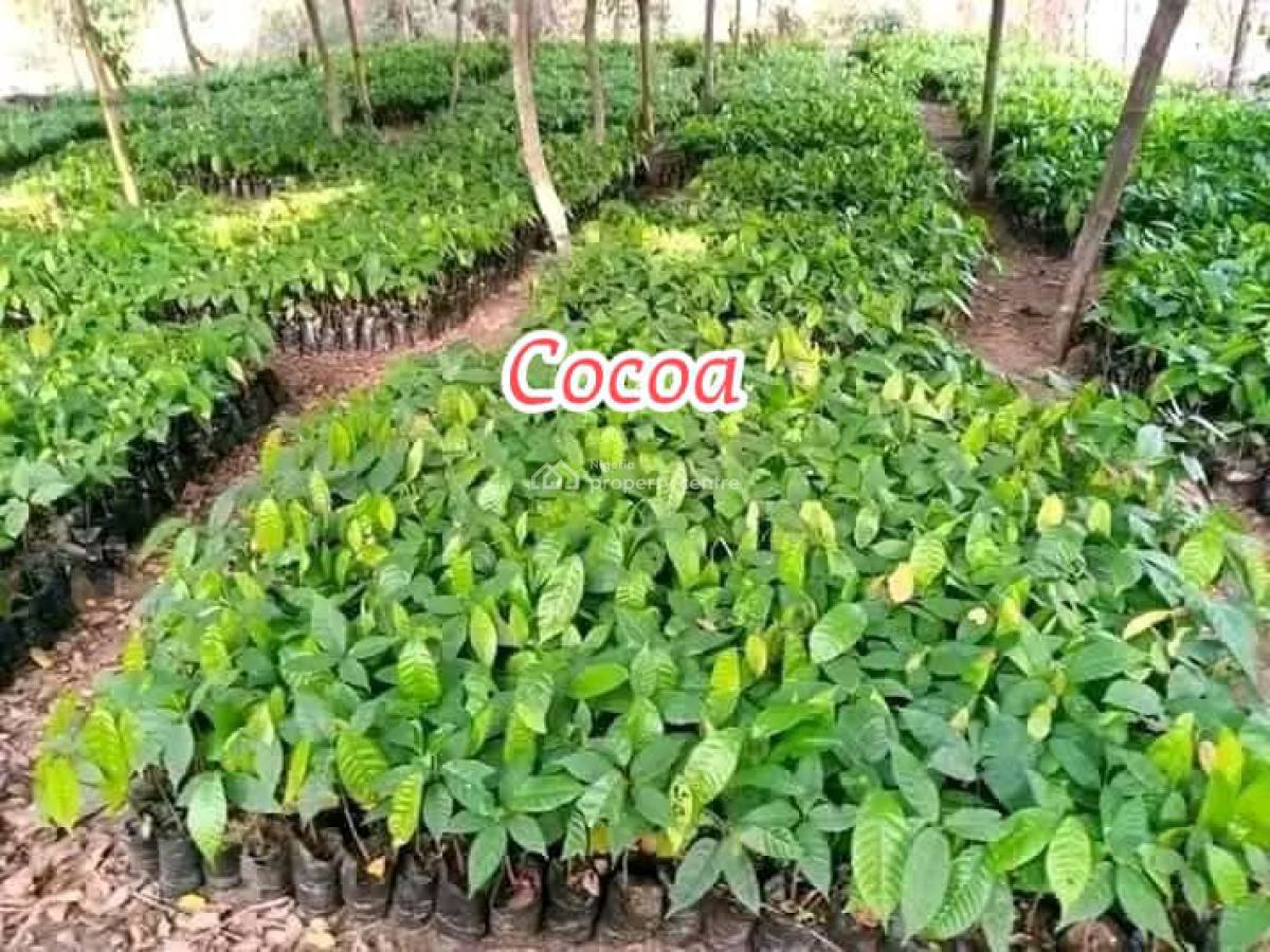 Passive Income Generating Asset, Rounder, Abeokuta North, Ogun, Land for Sale