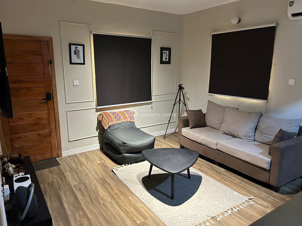 Brand New Spacious 1 Bedroom Apartment, Surulere, Lagos, Flat / Apartment Short Let