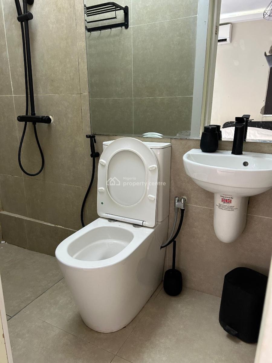 Brand New Spacious 1 Bedroom Apartment, Surulere, Lagos, Flat / Apartment Short Let