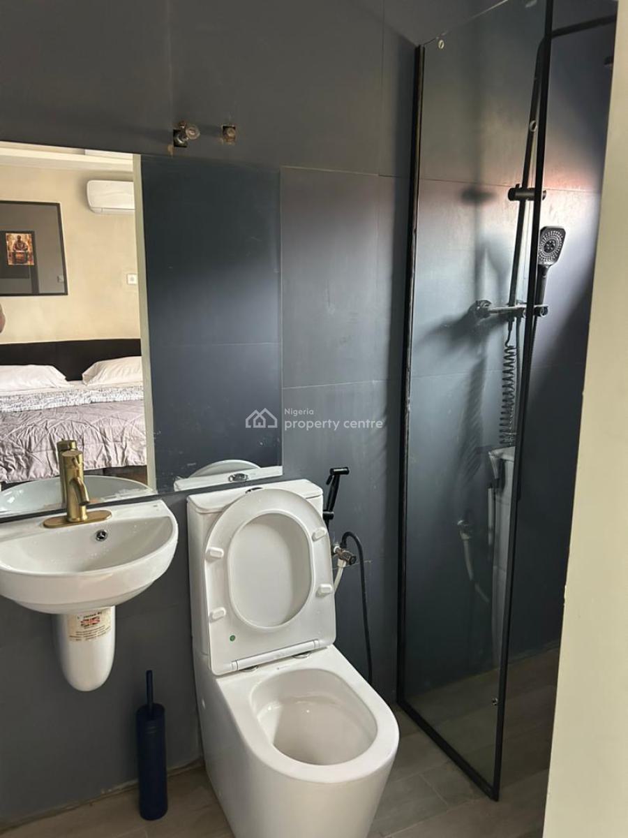 Luxury Spacious 1 Bedroom Apartment, Surulere, Lagos, Flat / Apartment Short Let