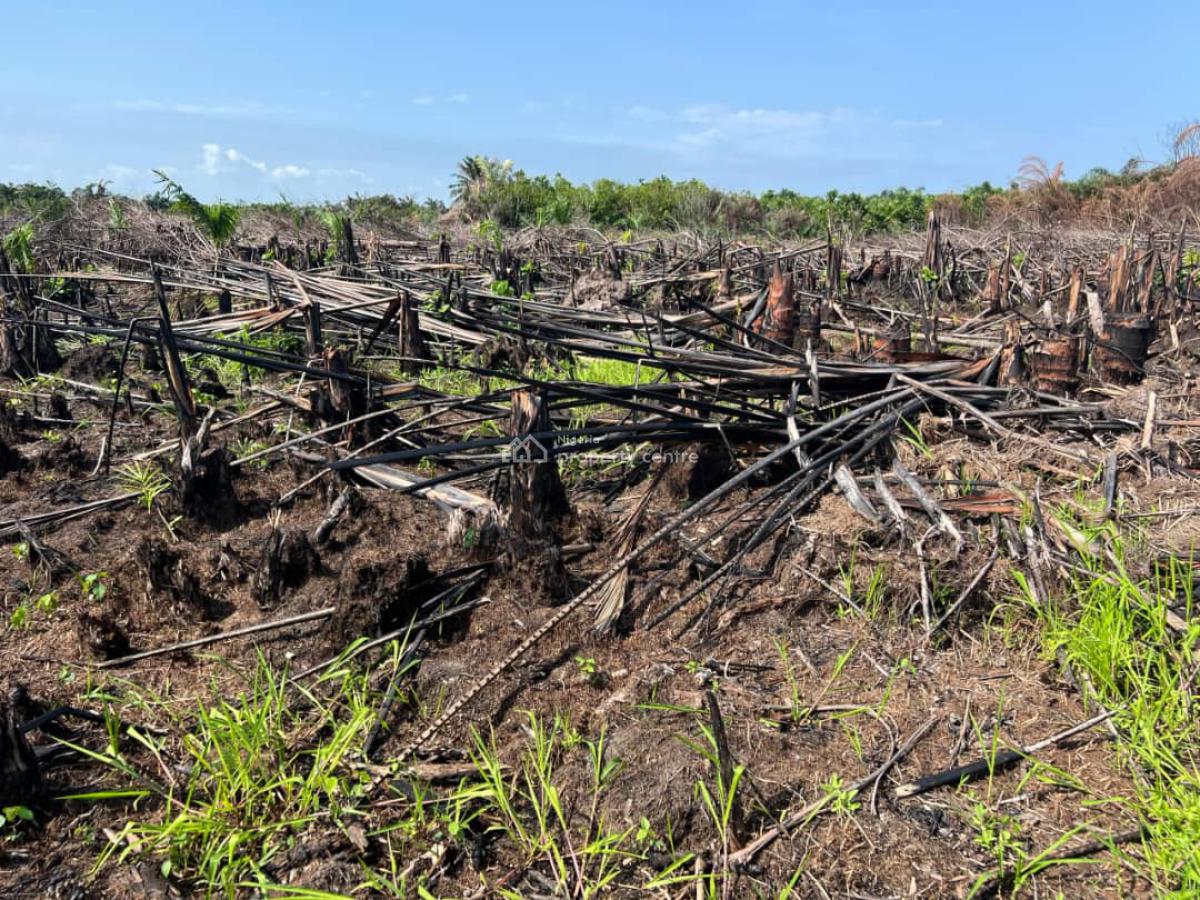 Affordable Buy and Build Land Land with C of O, The Island Meadows Iberokodo, Ibeju Lekki, Lagos, Residential Land for Sale