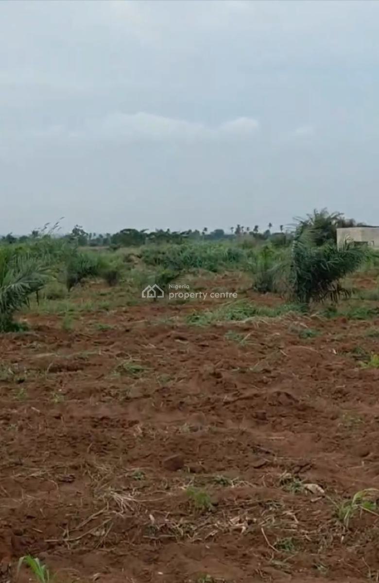 Get an Amazing Mortgage Plans Here with Palm Oil Business, Ewekoro, Ogun, Mixed-use Land for Sale