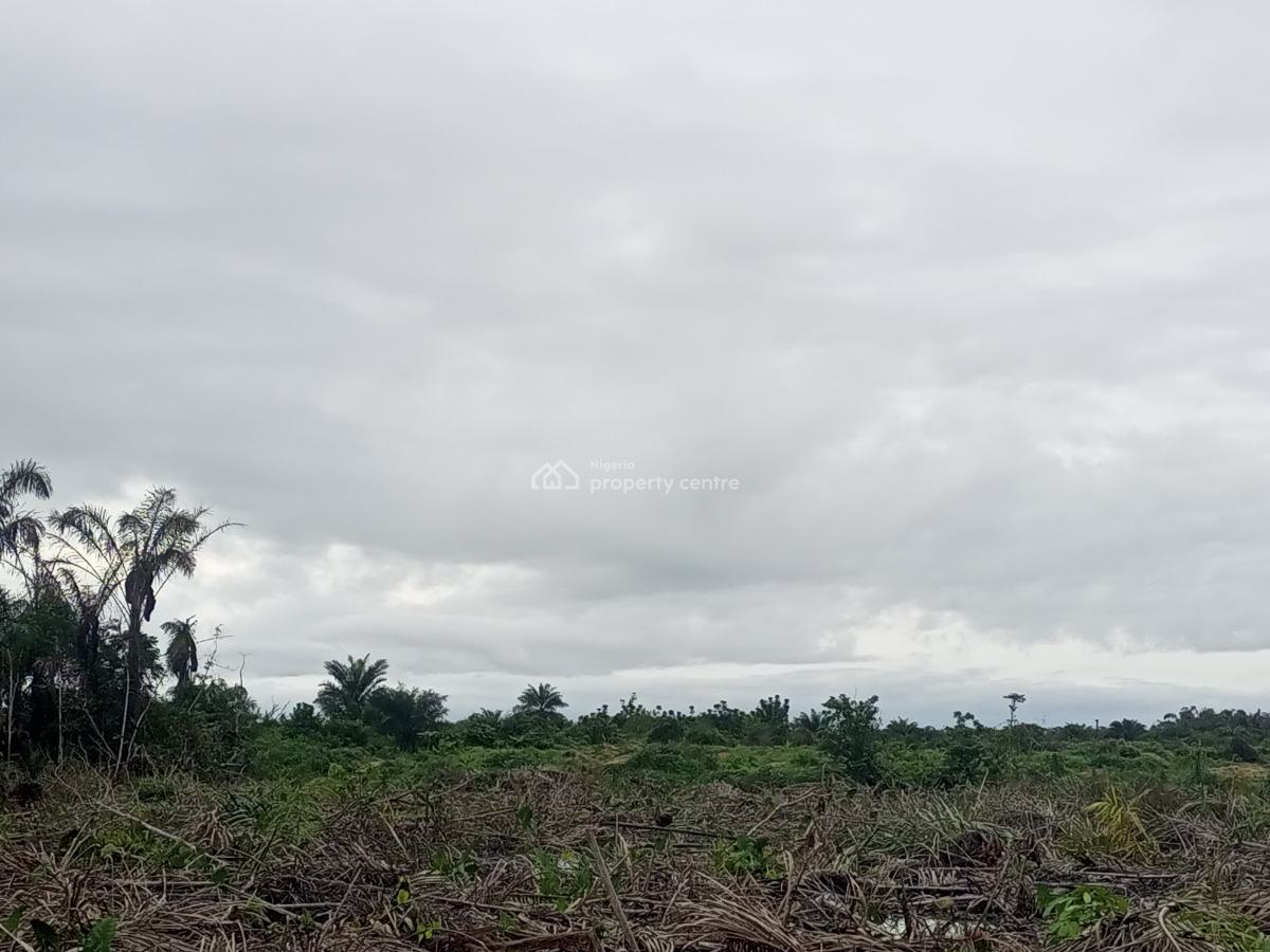 Ideal Hectares of Land Suitable for Both Commercial & Residential Use, Airport Road, Ibeju Lekki, Lagos, Mixed-use Land for Sale