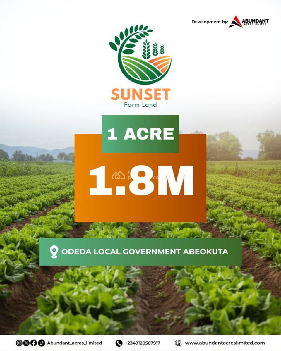 Sunset Farm Land -- Virgin Farmland, Odeda Local Government, Abeokuta North, Ogun, Industrial Land for Sale