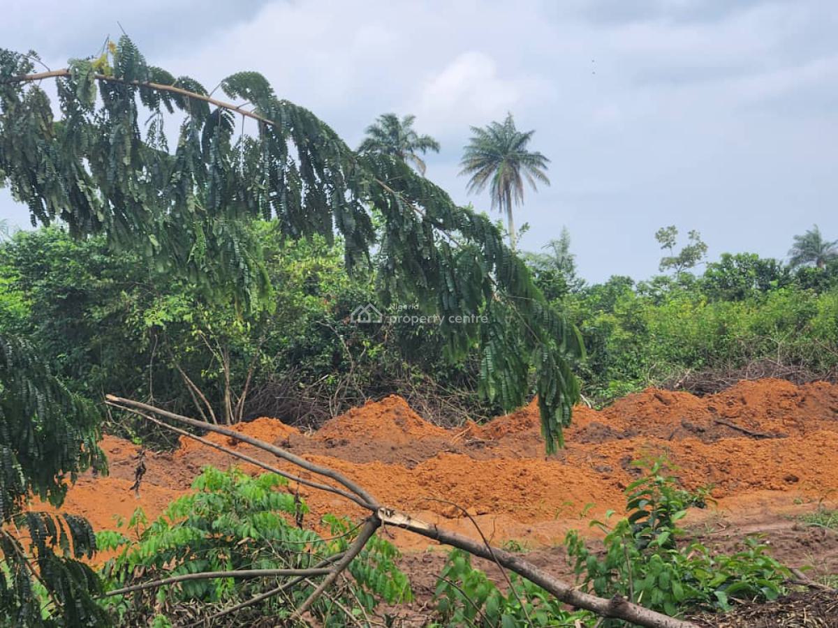 About 255 Acres of Industrial Land, Odogbolu Expressway, Odogbolu, Ogun, Industrial Land for Sale