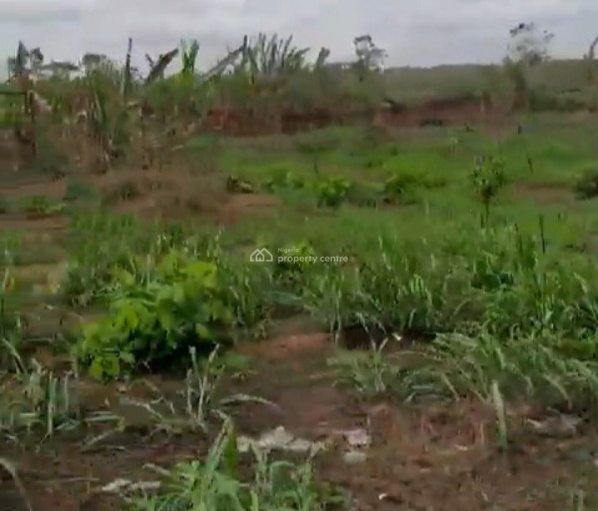 600ft By 500ft 32plots of Land 2.2 Hectares Fenced Round with C of O, Along Ehor Highway Near The Police Station, Benin, Oredo, Edo, Land for Sale