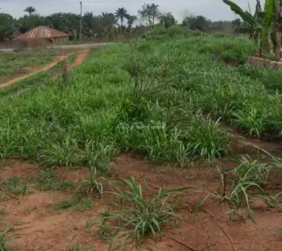 600ft By 500ft 32plots of Land 2.2 Hectares Fenced Round with C of O, Along Ehor Highway Near The Police Station, Benin, Oredo, Edo, Land for Sale