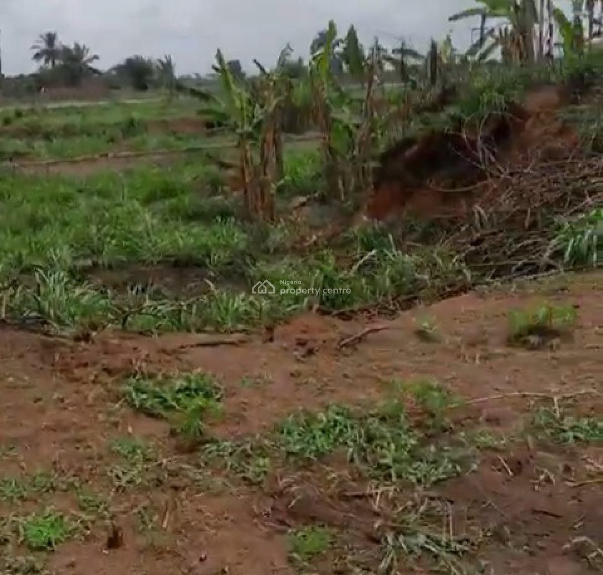 600ft By 500ft 32plots of Land 2.2 Hectares Fenced Round with C of O, Along Ehor Highway Near The Police Station, Benin, Oredo, Edo, Land for Sale