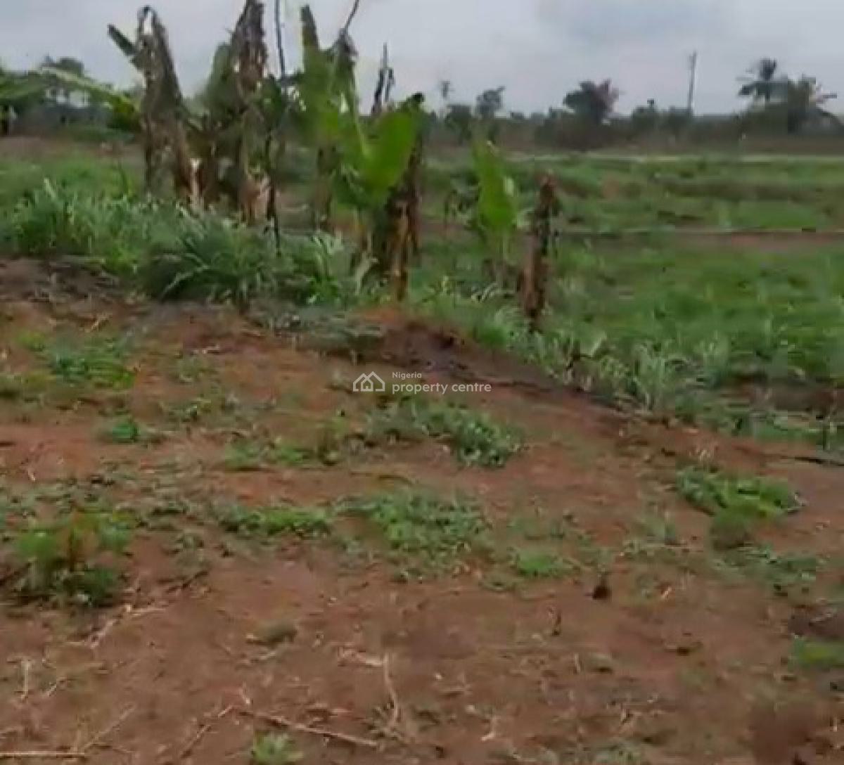 600ft By 500ft 32plots of Land 2.2 Hectares Fenced Round with C of O, Along Ehor Highway Near The Police Station, Benin, Oredo, Edo, Land for Sale