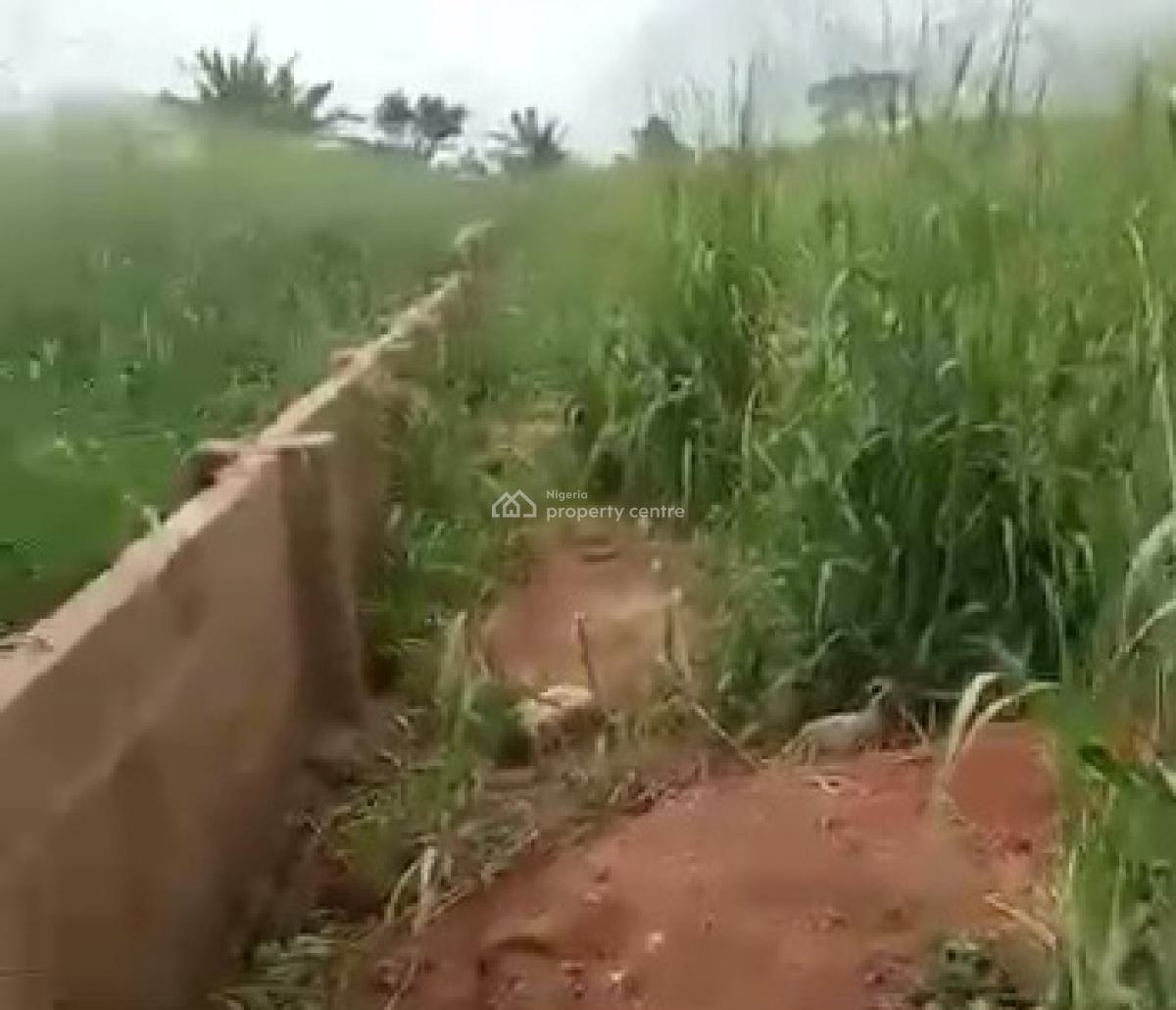 600ft By 500ft 32plots of Land 2.2 Hectares Fenced Round with C of O, Along Ehor Highway Near The Police Station, Benin, Oredo, Edo, Land for Sale