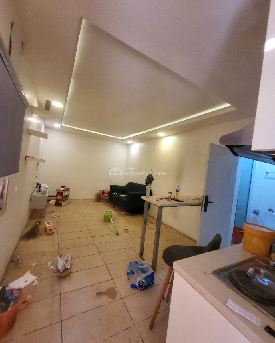 Luxurious Massive 1bedroom Flat, Inside Residential Villa, Asokoro District, Abuja, Flat / Apartment for Rent