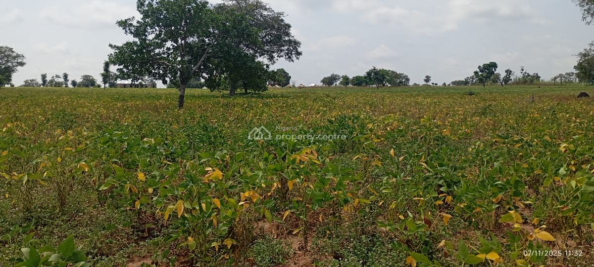 a Massive 5,000 Hectares Farmland Is 100% Available, Karu, Nasarawa, Karu, Nasarawa, Mixed-use Land for Sale