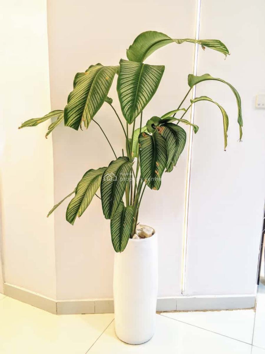 Fully Detached 6-bedroom Duplex with Top Notch Amenities Available., Diamond Estate, Sangotedo, Ajah, Lagos, Detached Duplex Short Let