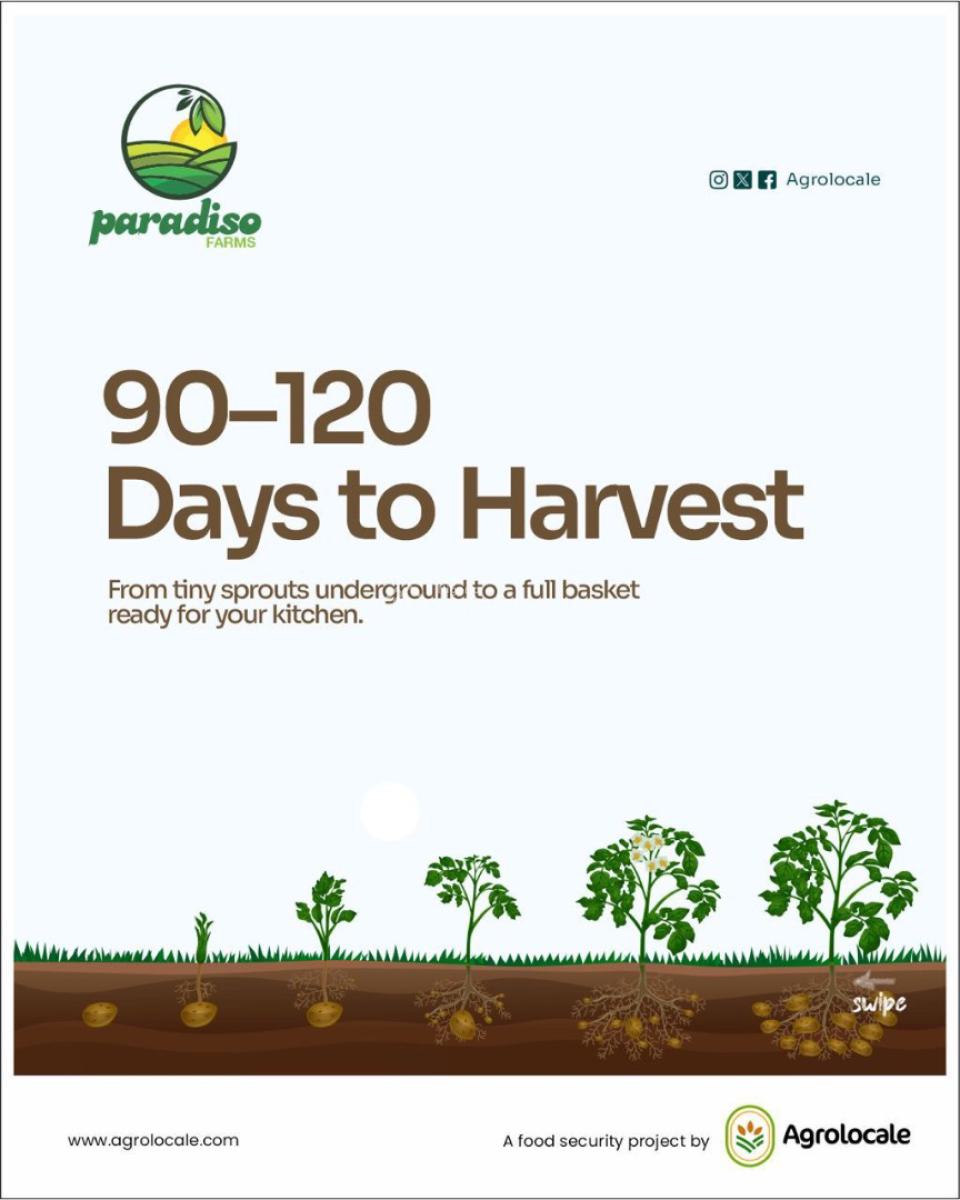 Very Affordable Agricultural Farm Land with High Profit, Affordable Farm Land with High Returns in Funab Abeokuta Ogun State, Abeokuta North, Ogun, Industrial Land for Sale