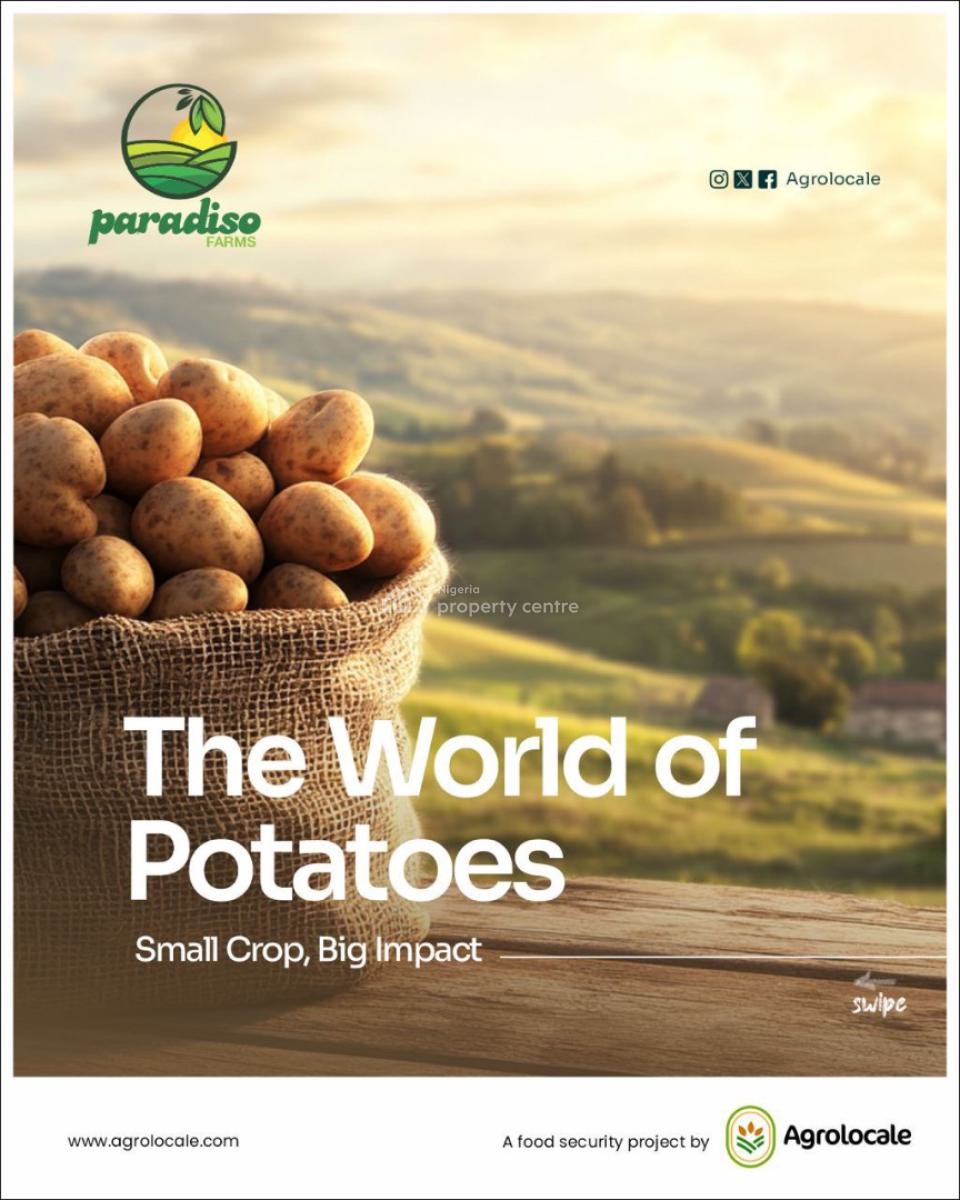 Very Affordable Agricultural Farm Land with High Profit, Affordable Farm Land with High Returns in Funab Abeokuta Ogun State, Abeokuta North, Ogun, Industrial Land for Sale