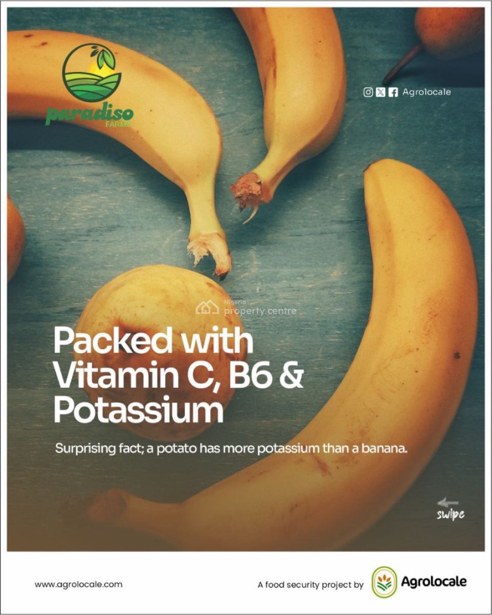 Very Affordable Agricultural Farm Land with High Profit, Affordable Farm Land with High Returns in Funab Abeokuta Ogun State, Abeokuta North, Ogun, Industrial Land for Sale