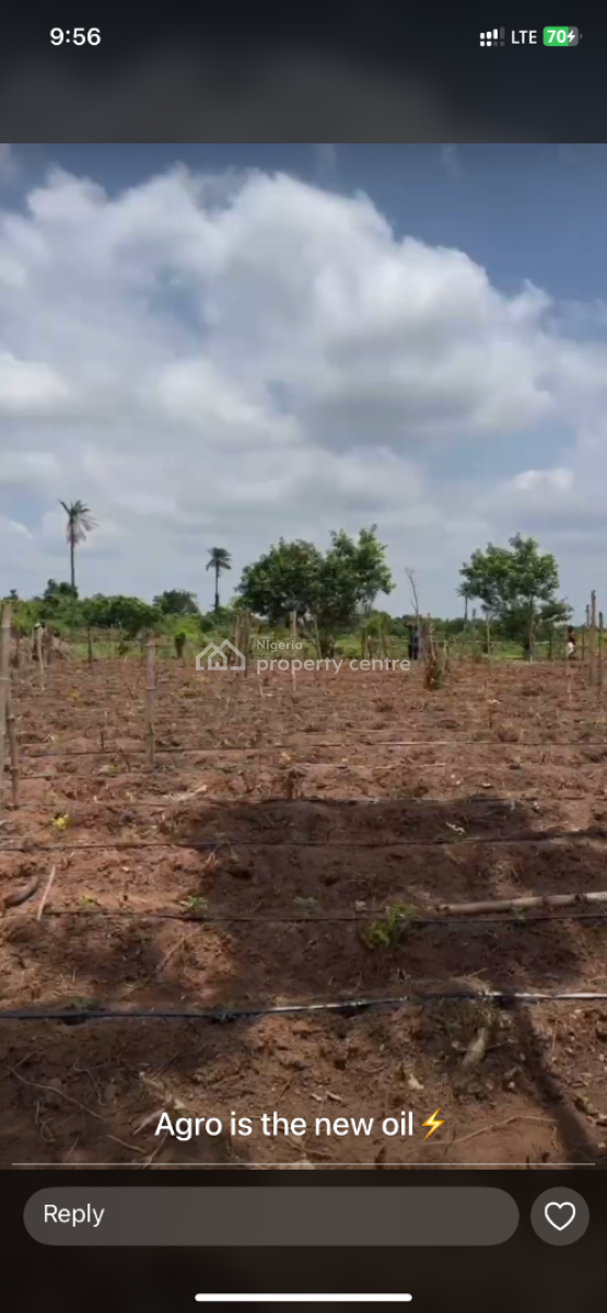 Very Affordable Agricultural Farm Land with High Profit, Affordable Farm Land with High Returns in Funab Abeokuta Ogun State, Abeokuta North, Ogun, Industrial Land for Sale