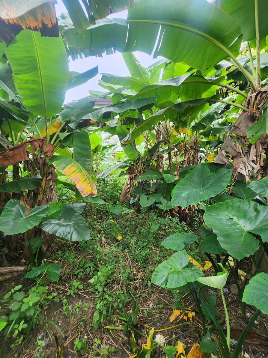 Strategically Located Plot of Land in The Heart of Town, Along Udotungubo Street, Uyo, Akwa Ibom, Mixed-use Land for Sale