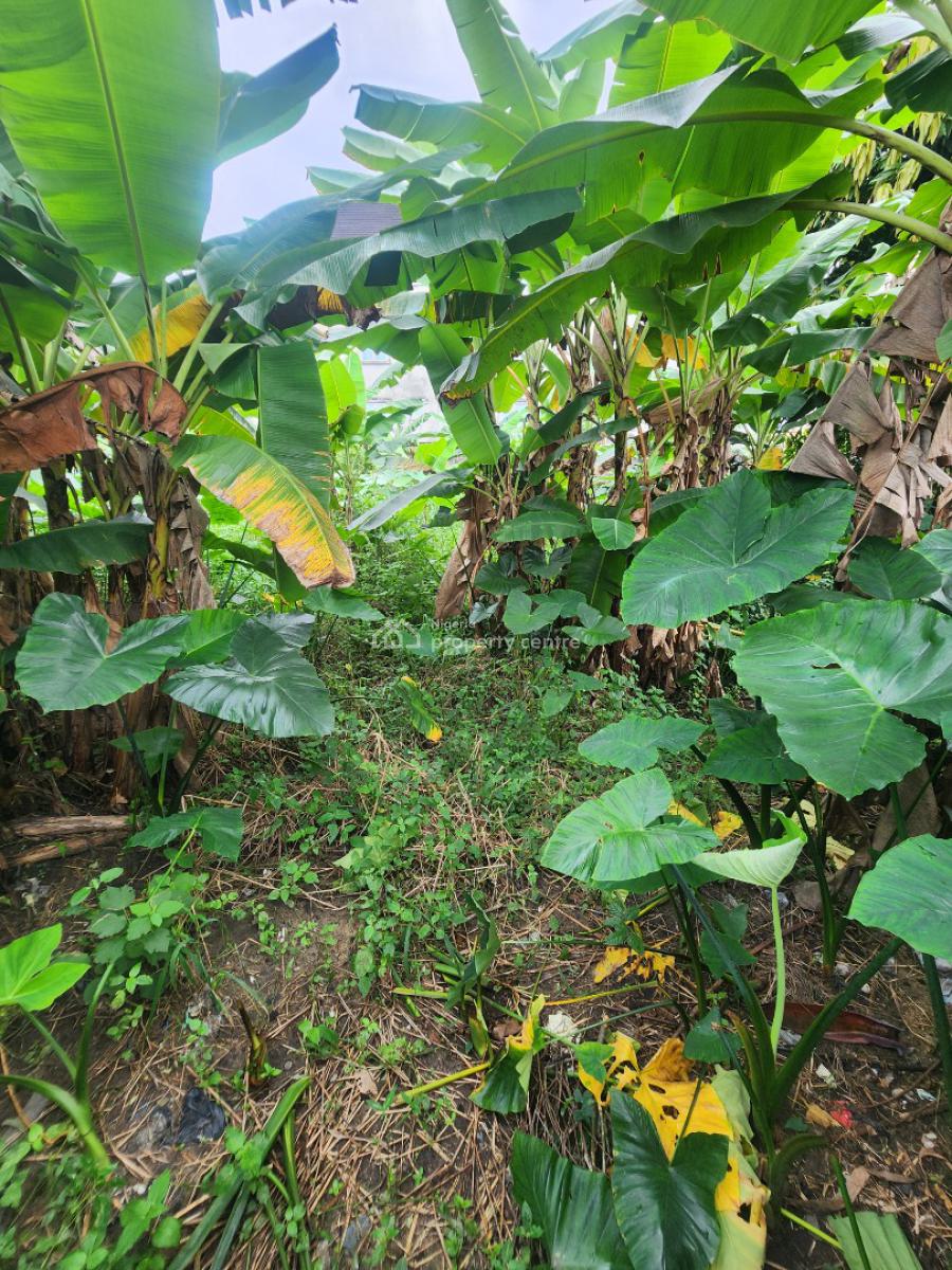 Strategically Located Plot of Land in The Heart of Town, Along Udotungubo Street, Uyo, Akwa Ibom, Mixed-use Land for Sale