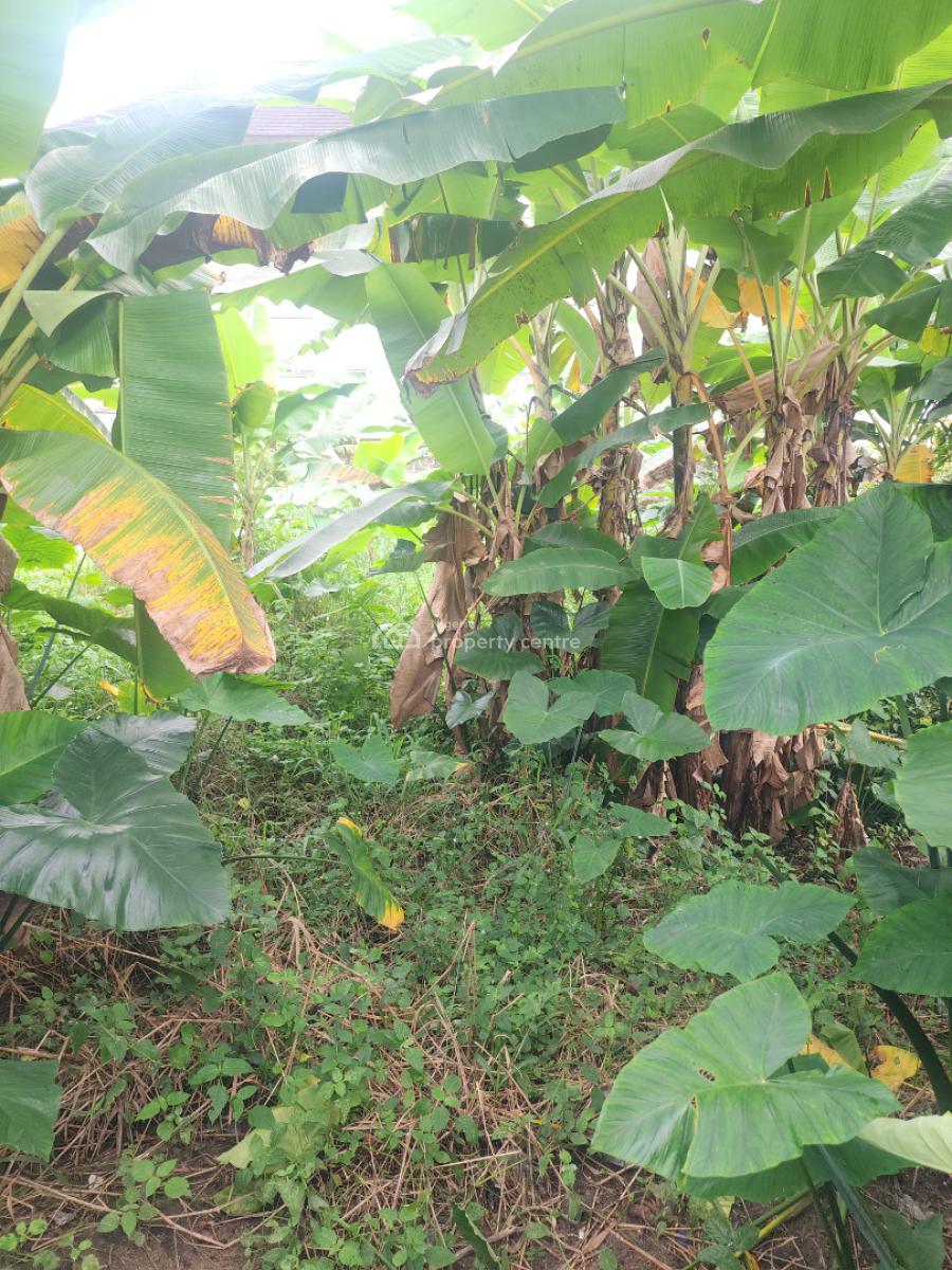 Strategically Located Plot of Land in The Heart of Town, Along Udotungubo Street, Uyo, Akwa Ibom, Mixed-use Land for Sale