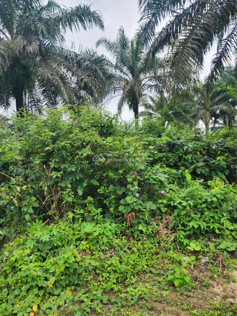 Strategically Located Parcel of Land, Shelter Afrique Estate Extension, Uyo, Akwa Ibom, Residential Land for Sale