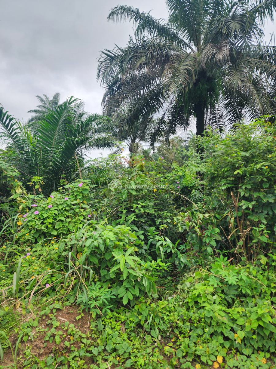 Strategically Located Parcel of Land, Shelter Afrique Estate Extension, Uyo, Akwa Ibom, Residential Land for Sale