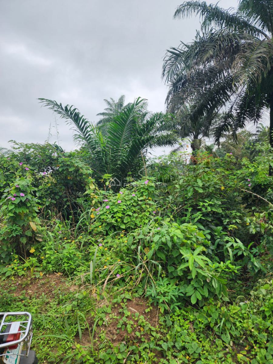 Strategically Located Parcel of Land, Shelter Afrique Estate Extension, Uyo, Akwa Ibom, Residential Land for Sale