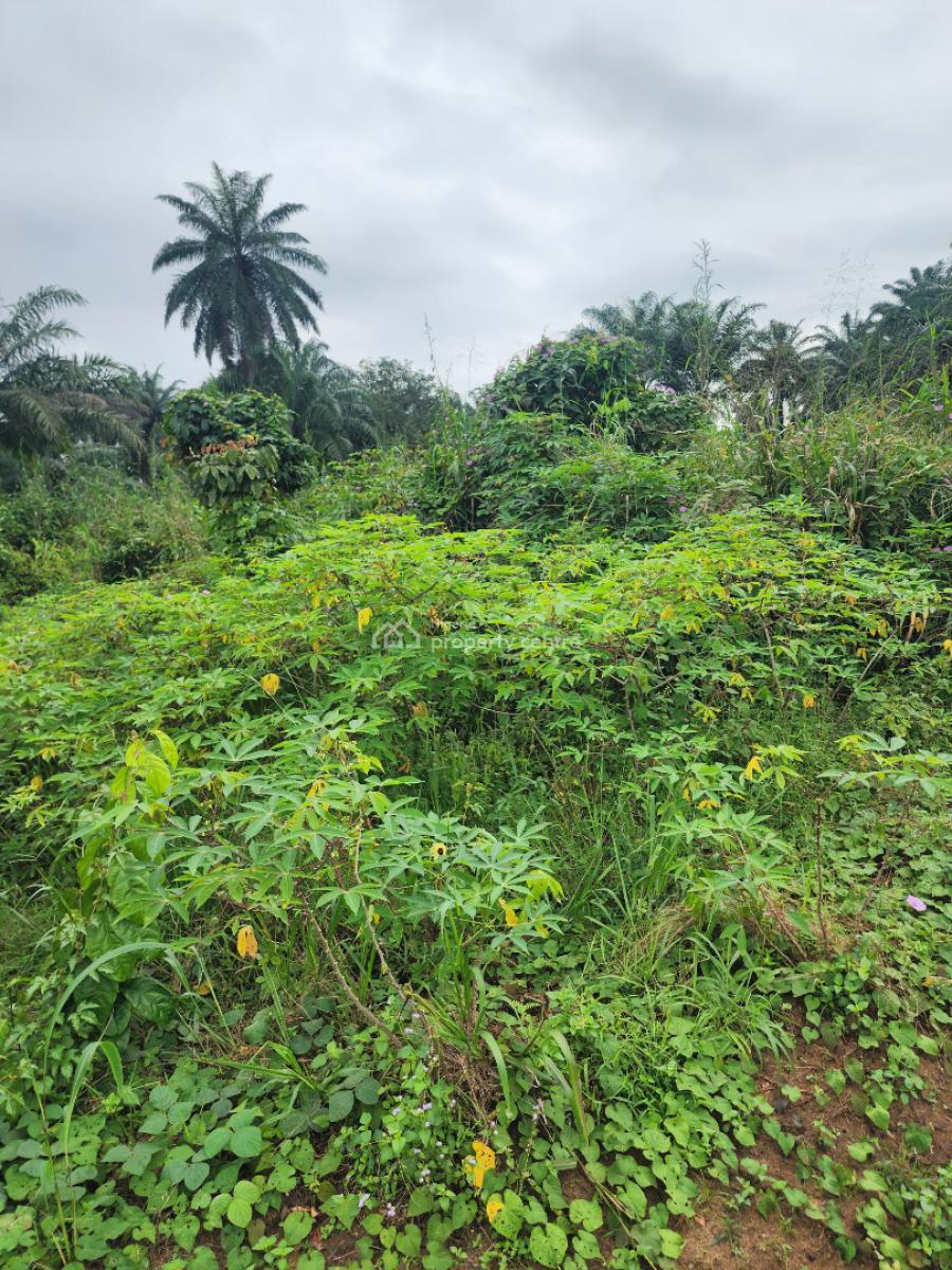Fantastic Parcel of Land, Shelter Afrique Estate Extension, Uyo, Akwa Ibom, Residential Land for Sale