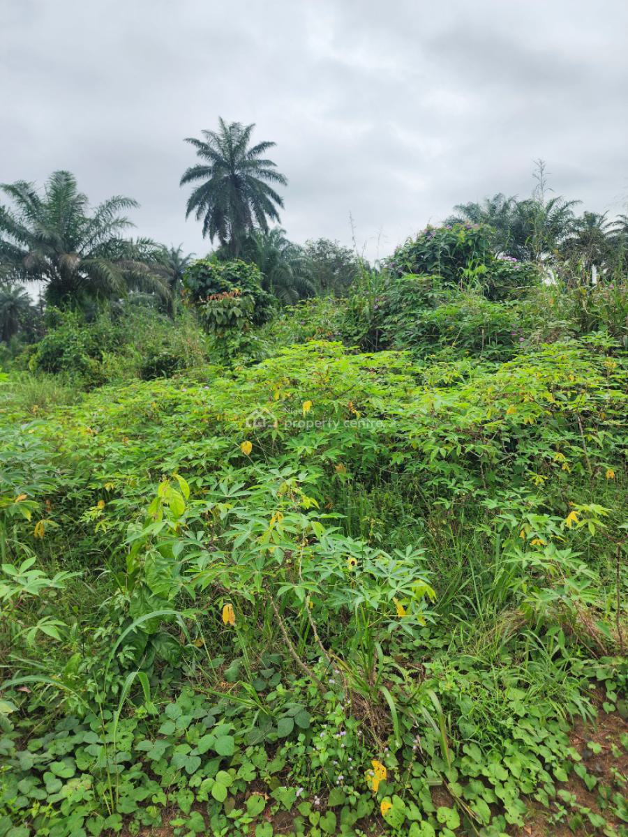 Fantastic Parcel of Land, Shelter Afrique Estate Extension, Uyo, Akwa Ibom, Residential Land for Sale