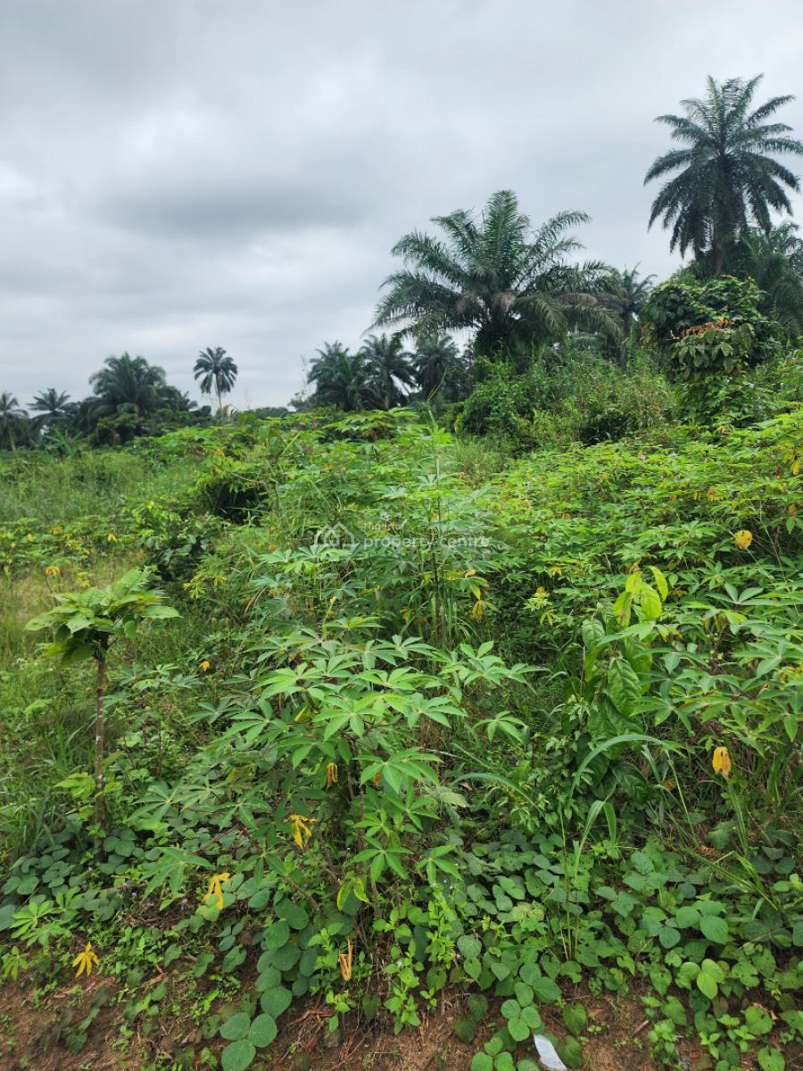 Fantastic Parcel of Land, Shelter Afrique Estate Extension, Uyo, Akwa Ibom, Residential Land for Sale
