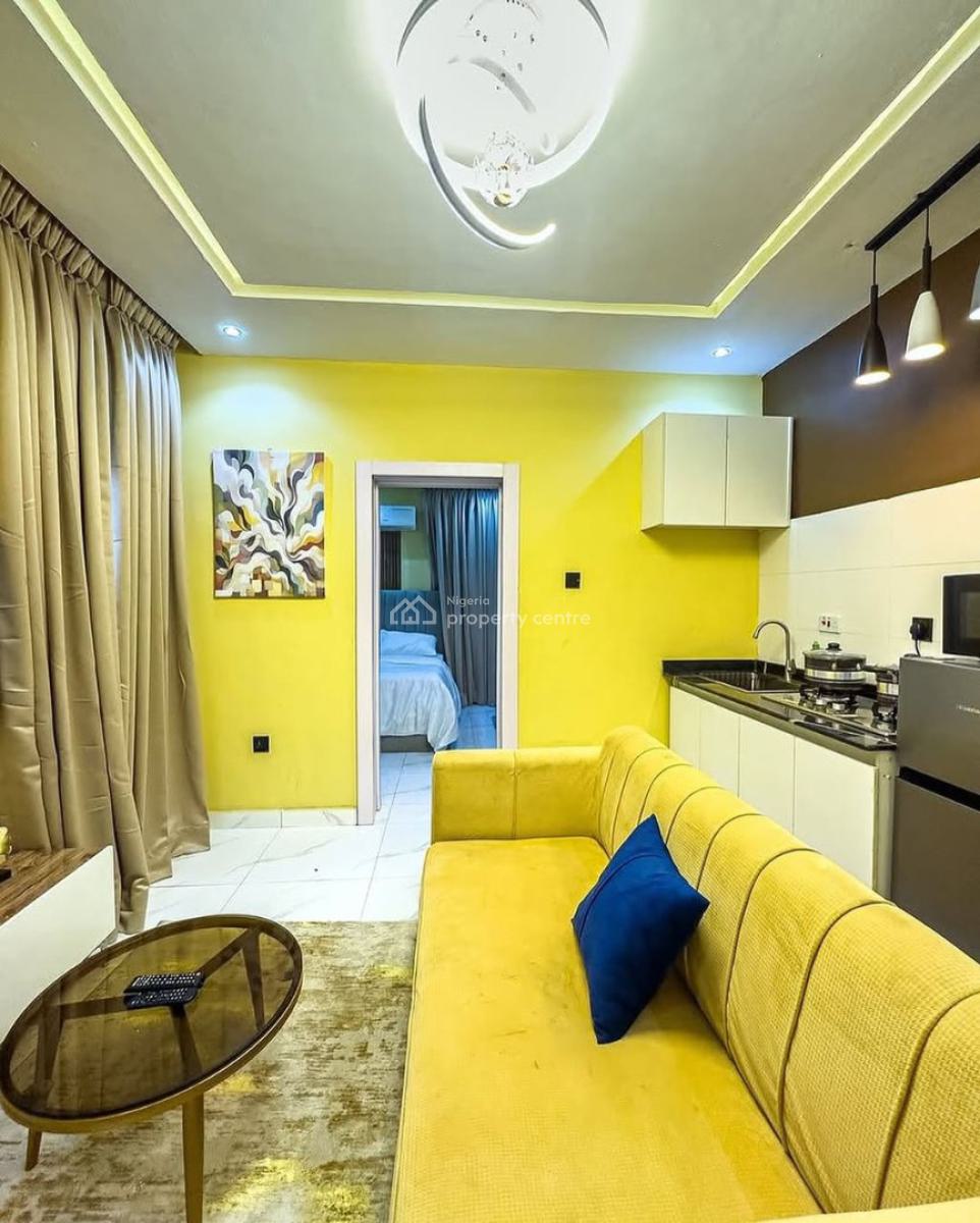 Luxurious and Beautiful 1 Bedroom Apartment with Amazing Features, Ikate, Surulere, Surulere, Lagos, Flat / Apartment Short Let
