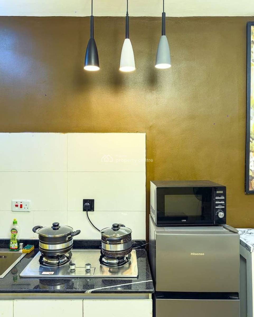 Luxurious and Beautiful 1 Bedroom Apartment with Amazing Features, Ikate, Surulere, Surulere, Lagos, Flat / Apartment Short Let