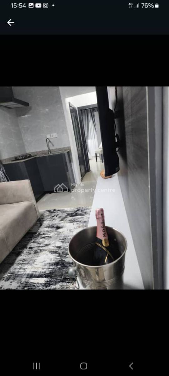 Luxurious Mini One Bedroom Apartment with Luxurious Fittings, 24hrs El, Lekki Phase 1, Lekki, Lagos, Mini Flat (room and Parlour) for Rent