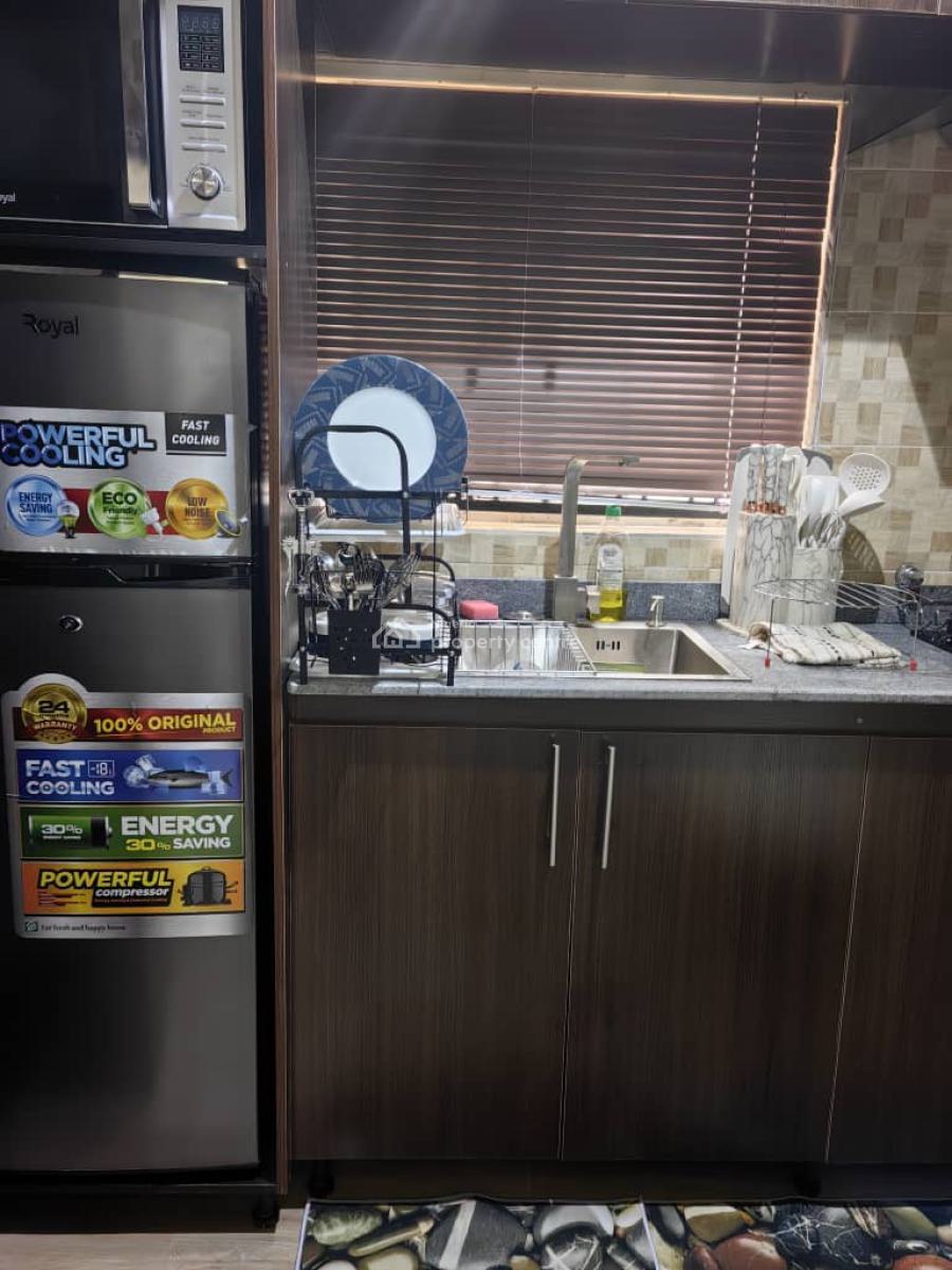 Luxury 1 Bedroom Flat, Wuse 2, Abuja, Mini Flat (room and Parlour) Short Let