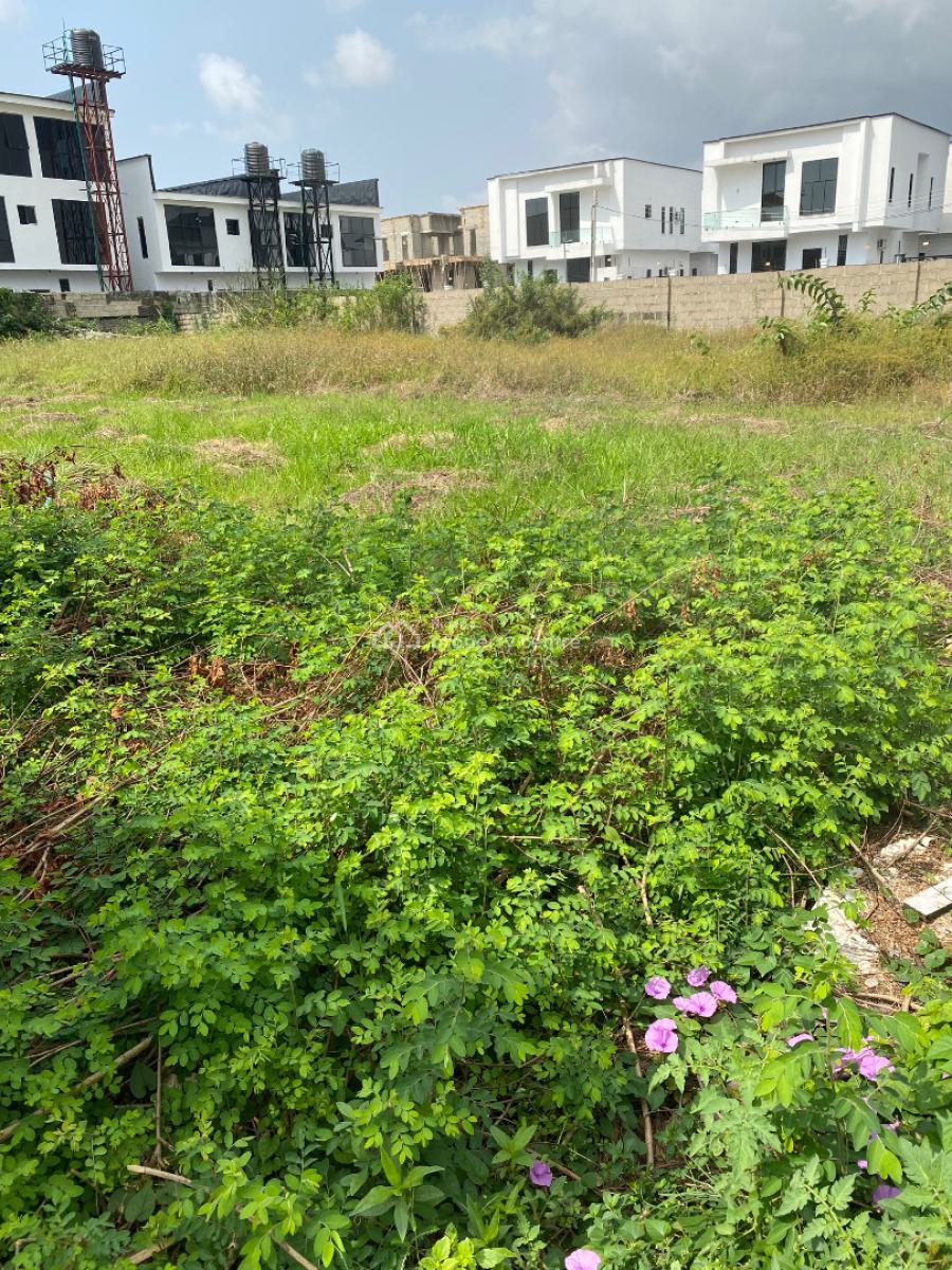 2,419sqm Plot of Land, Rumens Road Off Boudullon, Ikoyi, Lagos, Land for Sale