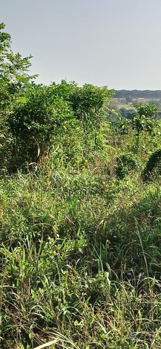 6152.600sqm of Fenced Prime Land (10 Plots), Mowe Simawa Road, Boun Village, Near Simawa Town, Mowe Town, Ogun, Mixed-use Land for Sale